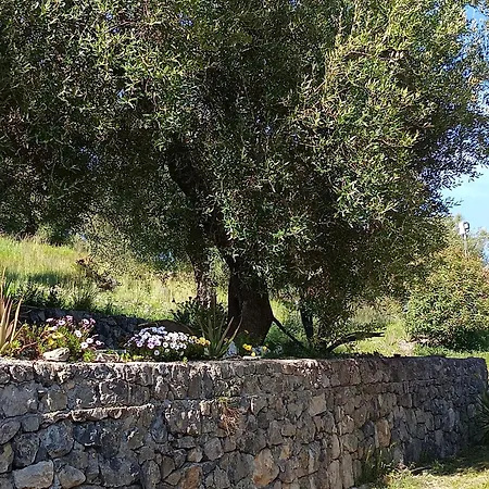 Holiday home Borgo San Antonio *